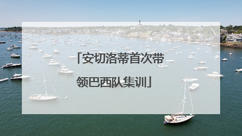 安切洛蒂首次带领巴西队集训