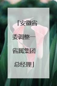 安徽省委调整一省属集团总经理
