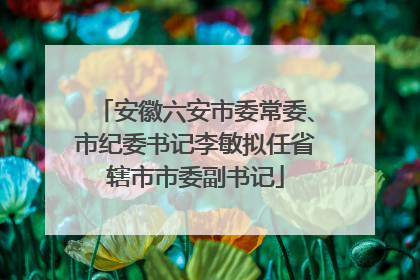 安徽六安市委常委、市纪委书记李敏拟任省辖市市委副书记