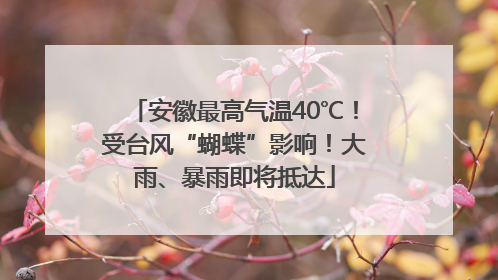 安徽最高气温40℃！受台风“蝴蝶”影响！大雨、暴雨即将抵达