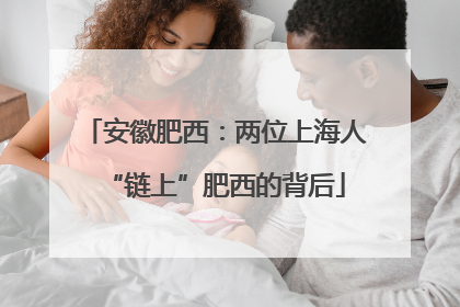 安徽肥西：两位上海人“链上”肥西的背后