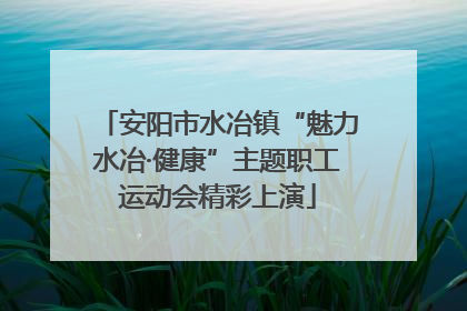 安阳市水冶镇“魅力水冶·健康”主题职工运动会精彩上演
