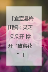 宜章县梅田镇：灵芝朵朵开 撑开“致富花”