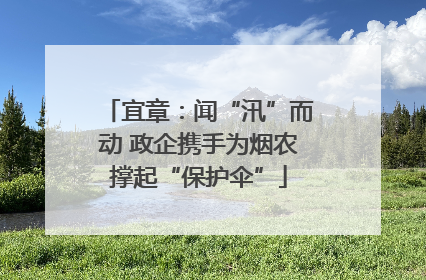 宜章：闻“汛”而动 政企携手为烟农撑起“保护伞”