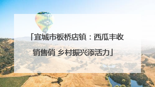宜城市板桥店镇：西瓜丰收销售俏 乡村振兴添活力