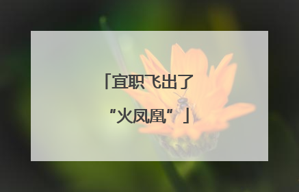 宜职飞出了“火凤凰”
