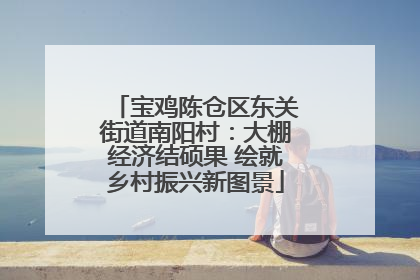 宝鸡陈仓区东关街道南阳村：大棚经济结硕果 绘就乡村振兴新图景