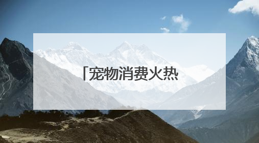 宠物消费火热，成都上演“萌宠总动员”
