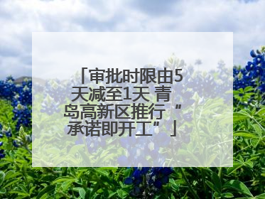 审批时限由5天减至1天 青岛高新区推行“承诺即开工”