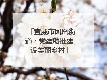 宣威市凤凰街道：党建助推建设美丽乡村