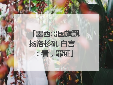 墨西哥国旗飘扬洛杉矶 白宫：看，罪证