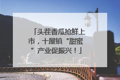 头茬香瓜抢鲜上市，十屋镇“甜蜜”产业促振兴！