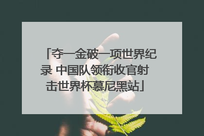 夺一金破一项世界纪录 中国队领衔收官射击世界杯慕尼黑站
