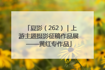 夏影（262）｜上游主题摄影征稿作品展——黄红专作品