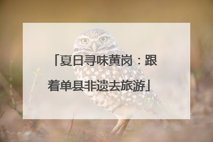夏日寻味黄岗：跟着单县非遗去旅游
