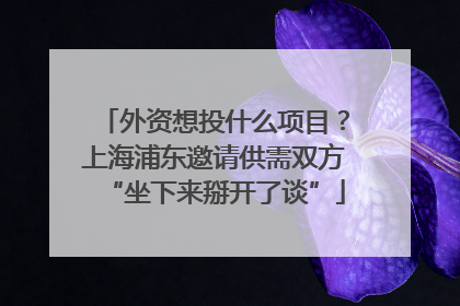外资想投什么项目？上海浦东邀请供需双方“坐下来掰开了谈”