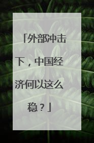 外部冲击下，中国经济何以这么稳？