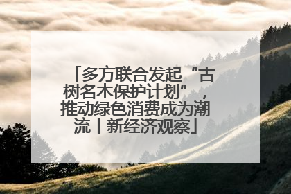 多方联合发起“古树名木保护计划”，推动绿色消费成为潮流丨新经济观察