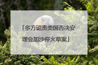 多方谴责美国否决安理会加沙停火草案