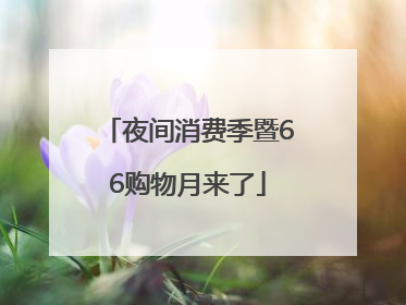 夜间消费季暨66购物月来了