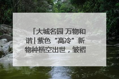 大城名园 万物和谐│紫色“高冷”新物种横空出世，皱褶叶片暗藏进化密码