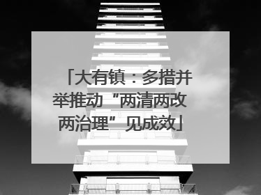 大有镇：多措并举推动“两清两改两治理”见成效