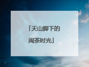 天山脚下的闽茶时光