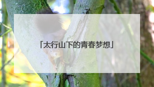 太行山下的青春梦想