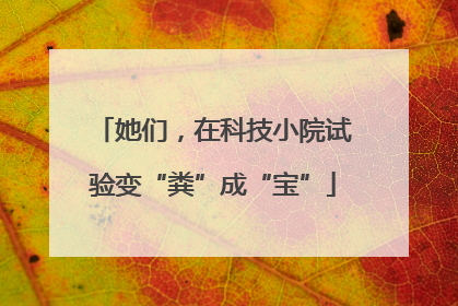 她们，在科技小院试验变“粪”成“宝”