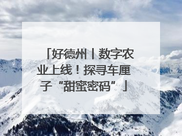 好德州丨数字农业上线！探寻车厘子“甜蜜密码”