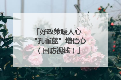 好政策暖人心 “孔雀蓝”增信心（国防视线）