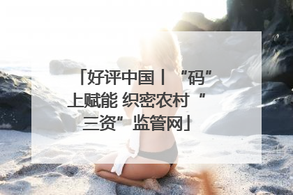好评中国丨“码”上赋能 织密农村“三资”监管网