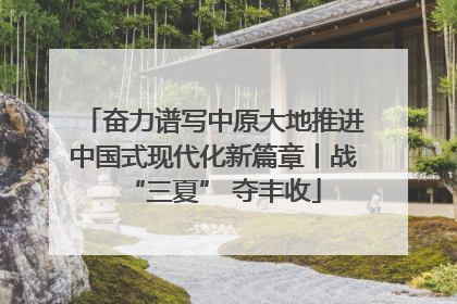 奋力谱写中原大地推进中国式现代化新篇章丨战“三夏” 夺丰收