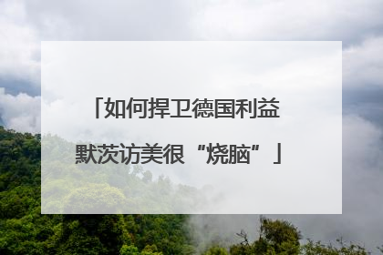 如何捍卫德国利益 默茨访美很“烧脑”