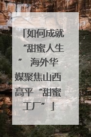 如何成就“甜蜜人生” 海外华媒聚焦山西高平“甜蜜工厂”