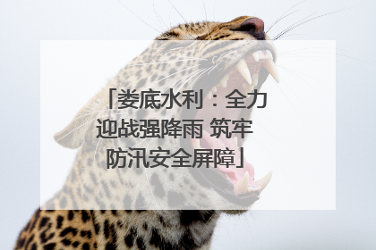 娄底水利：全力迎战强降雨 筑牢防汛安全屏障