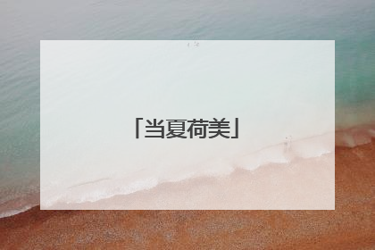 当夏荷美