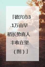 德兴市3.1万亩早稻长势喜人 丰收在望（图）