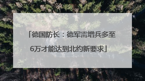 德国防长：德军需增兵多至6万才能达到北约新要求