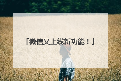 微信又上线新功能！