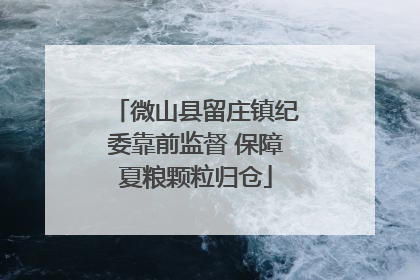 微山县留庄镇纪委靠前监督 保障夏粮颗粒归仓