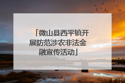 微山县西平镇开展防范涉农非法金融宣传活动
