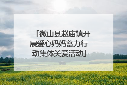 微山县赵庙镇开展爱心妈妈蓄力行动集体关爱活动