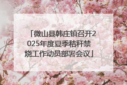 微山县韩庄镇召开2025年度夏季秸秆禁烧工作动员部署会议