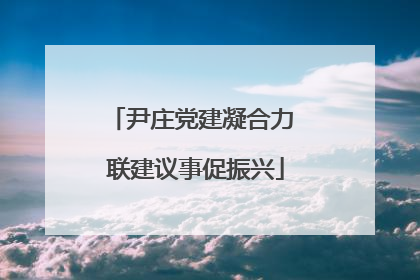 尹庄党建凝合力 联建议事促振兴