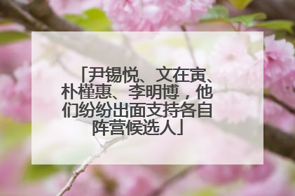 尹锡悦、文在寅、朴槿惠、李明博，他们纷纷出面支持各自阵营候选人