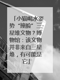 小猫喝水姿势“撞脸”三星堆文物？博物馆：该文物并非来自三星堆，有可能是它