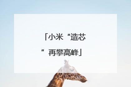 小米“造芯”再攀高峰