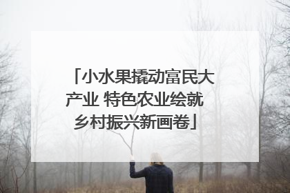 小水果撬动富民大产业 特色农业绘就乡村振兴新画卷