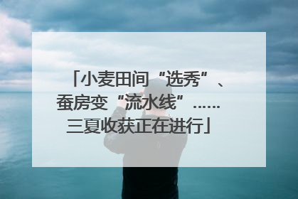 小麦田间“选秀”、蚕房变“流水线”……三夏收获正在进行
